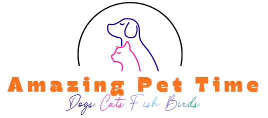 Amazing Pet Time